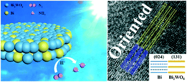 Graphical abstract: Formation of an oriented Bi2WO6 photocatalyst induced by in situ Bi reduction and its use for efficient nitrogen fixation