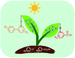 Graphical abstract: Photocatalytic coupled redox cycle for two organic transformations over Pd/carbon nitride composites