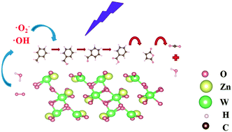 Graphical abstract: Mechanism of photocatalytic toluene oxidation with ZnWO4: a combined experimental and theoretical investigation