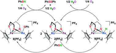 Graphical abstract: Biomimetic catalytic oxidative coupling of thiols using thiolate-bridged dinuclear metal complexes containing iron in water under mild conditions