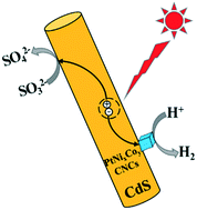 Graphical abstract: PtNixCoy concave nanocubes: synthesis and application in photocatalytic hydrogen generation