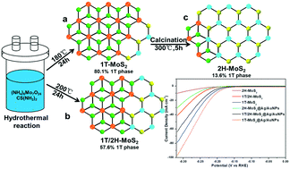 Graphical abstract: Different phases of few-layer MoS2 and their silver/gold nanocomposites for efficient hydrogen evolution reaction