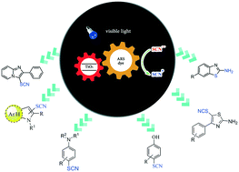 Graphical abstract: ARS–TiO2 photocatalyzed direct functionalization of sp2 C–H bonds toward thiocyanation and cyclization reactions under visible light