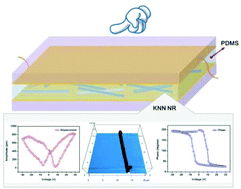 Graphical abstract: One dimensional lead-free (K,Na)NbO3 nanostructures for a flexible self-powered sensor
