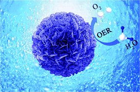 Graphical abstract: Activating hierarchically hortensia-like CoAl layered double hydroxides by alkaline etching and anion modulation strategies for the efficient oxygen evolution reaction