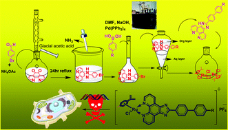 Graphical abstract: Luminescent anticancer ruthenium(ii)-p-cymene complexes of extended imidazophenanthroline ligands: synthesis, structure, reactivity, biomolecular interactions and live cell imaging