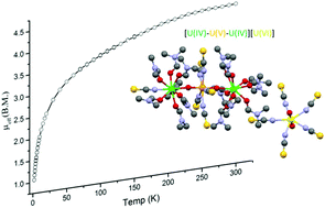 Graphical abstract: Oxidation of uranium(iv) thiocyanate complexes: cation–cation interactions in mixed-valent uranium coordination chains