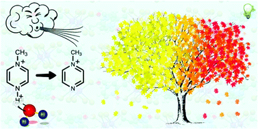 Graphical abstract: Unexpected hydrolytic transformation of new type hybrid bromobismuthates with methylpyrazinium dications