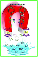 Graphical abstract: Metal-coordination driven intramolecular twisting: a turn-on fluorescent-redox probe for Hg2+ ions through the interaction of ferrocene nonbonding orbitals and dibenzylidenehydrazine