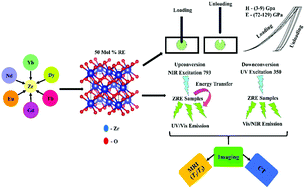 Graphical abstract: Collective substitutions of selective rare earths (Yb3+, Dy3+, Tb3+, Gd3+, Eu3+, Nd3+) in ZrO2: an exciting prospect for biomedical applications