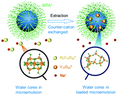 Graphical abstract: Steering polyoxometalate transformation from octahedral to tetrahedral coordination by counter-cations