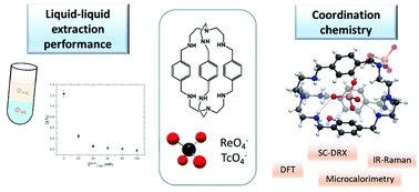 Graphical abstract: Perrhenate and pertechnetate complexation by an azacryptand in nitric acid medium