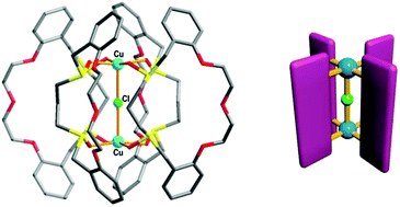 Graphical abstract: Formation of a four-bladed waterwheel-type chloro-bridged dicopper(ii) complex with dithiamacrocycle via double exo-coordination