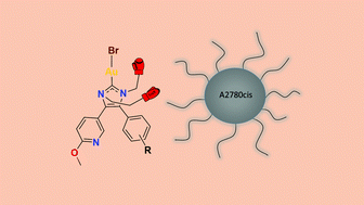 Graphical abstract: Synthesis, characterization and biological activity of bromido[3-ethyl-4-aryl-5-(2-methoxypyridin-5-yl)-1-propyl-1,3-dihydro-2H-imidazol-2-ylidene]gold(i) complexes