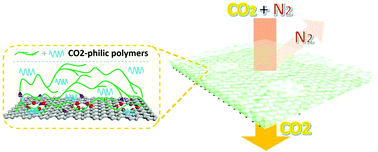 Graphical abstract: High-permeance polymer-functionalized single-layer graphene membranes that surpass the postcombustion carbon capture target