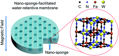 Graphical abstract: Oriented proton-conductive nano-sponge-facilitated polymer electrolyte membranes