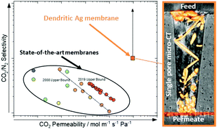 Graphical abstract: Dendritic silver self-assembly in molten-carbonate membranes for efficient carbon dioxide capture