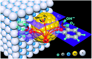 Graphical abstract: Modulating multi-hole reaction pathways for photoelectrochemical water oxidation on gold nanocatalysts