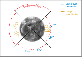 Graphical abstract: Biochar particle aggregation in soil pore water: the influence of ionic strength and interactions with pyrene