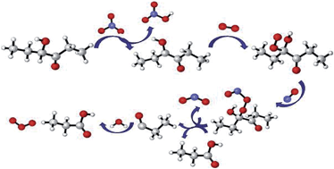 Graphical abstract: Theoretical investigation of the mechanism, kinetics and subsequent degradation products of the NO3 radical initiated oxidation of 4-hydroxy-3-hexanone