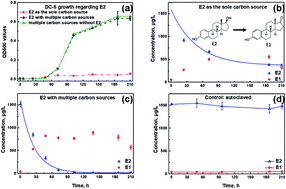 Graphical abstract: Effects of carbon sources on 17 beta-estradiol degradation by Sphingomonas sp. and the analysis of the involved intracellular metabolomics