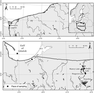 Graphical abstract: The occurrence and distribution of nonylphenols and nonylphenol ethoxylates in different species of fish