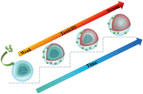 Graphical abstract: Progressive stress response of the anaerobic granular sludge to nickel nanoparticles: experimental investigations and mathematic modelling