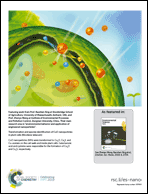 Graphical abstract: Back cover