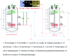 Graphical abstract: Sewage water treatment with energy recovery using constructed wetlands integrated with a bioelectrochemical system