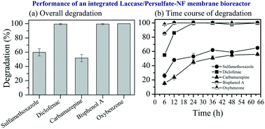 Graphical abstract: Elucidating the performance of an integrated laccase- and persulfate-assisted process for degradation of trace organic contaminants (TrOCs)