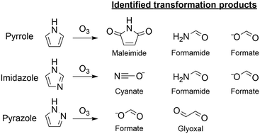 Graphical abstract: Reactions of pyrrole, imidazole, and pyrazole with ozone: kinetics and mechanisms