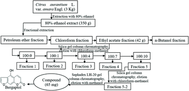 Graphical abstract: Bergaptol from blossoms of Citrus aurantium L. var. amara Engl inhibits LPS-induced inflammatory responses and ox-LDL-induced lipid deposition