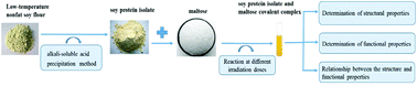 Graphical abstract: Effects of irradiation on the structure and properties of glycosylated soybean proteins