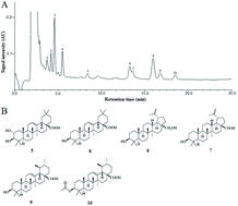 Graphical abstract: Total triterpenoids from the fruits of Chaenomeles speciosa exerted gastroprotective activities on indomethacin-induced gastric damage via modulating microRNA-423-5p-mediated TFF/NAG-1 and apoptotic pathways
