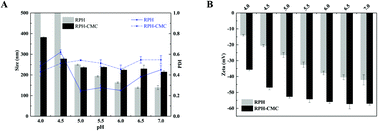 Graphical abstract: Nanoparticles based on carboxymethylcellulose-modified rice protein for efficient delivery of lutein