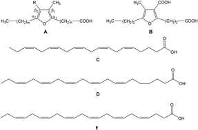Graphical abstract: Pure omega 3 polyunsaturated fatty acids (EPA, DPA or DHA) are associated with increased plasma levels of 3-carboxy-4-methyl-5-propyl-2-furanpropanoic acid (CMPF) in a short-term study in women