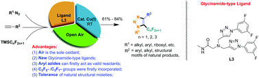 Graphical abstract: Multi-component syntheses of diverse 5-fluoroalkyl-1,2,3-triazoles facilitated by air oxidation and copper catalysis
