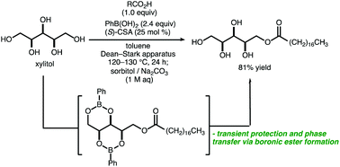 Graphical abstract: Boronic acid-promoted site-selective Fischer esterifications of sugar alcohols