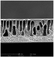 Graphical abstract: A metrics-based approach to preparing sustainable membranes: application to ultrafiltration