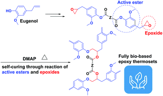 Graphical abstract: A facile strategy to achieve fully bio-based epoxy thermosets from eugenol