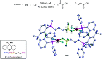 Graphical abstract: Co-catalysis over a tri-functional ligand modified Pd-catalyst for hydroxycarbonylation of terminal alkynes towards α,β-unsaturated carboxylic acids