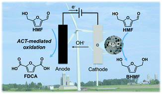 Graphical abstract: Paired electrocatalytic hydrogenation and oxidation of 5-(hydroxymethyl)furfural for efficient production of biomass-derived monomers