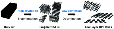 Graphical abstract: Rapid exfoliation for few-layer enriched black phosphorus dispersion via a superhydrophobic silicon-nanowire-embedded microfluidic process
