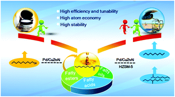 Graphical abstract: Highly selective conversion of natural oil to alcohols or alkanes over a Pd stabilized CuZnAl catalyst under mild conditions