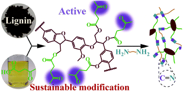Graphical abstract: Sustainable valorization of lignin with levulinic acid and its application in polyimine thermosets