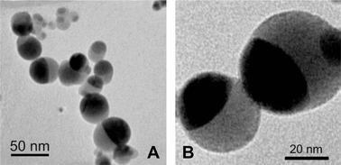 Graphical abstract: Risk and life cycle assessment of nanoparticles for medical applications prepared using safe- and benign-by-design gas-phase syntheses