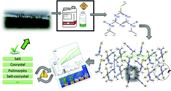Graphical abstract: Highly water soluble agrichemicals by using engineered organic salts for reducing adverse environmental impacts