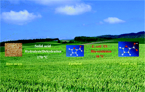 Graphical abstract: An effective hybrid strategy for converting rice straw to furoic acid by tandem catalysis via Sn-sepiolite combined with recombinant E. coli whole cells harboring horse liver alcohol dehydrogenase