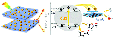 Graphical abstract: Photoredox-catalyzed biomass intermediate conversion integrated with H2 production over Ti3C2Tx/CdS composites