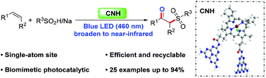 Graphical abstract: Biomimetic photocatalytic sulfonation of alkenes to access β-ketosulfones with single-atom iron site